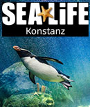 Sealife