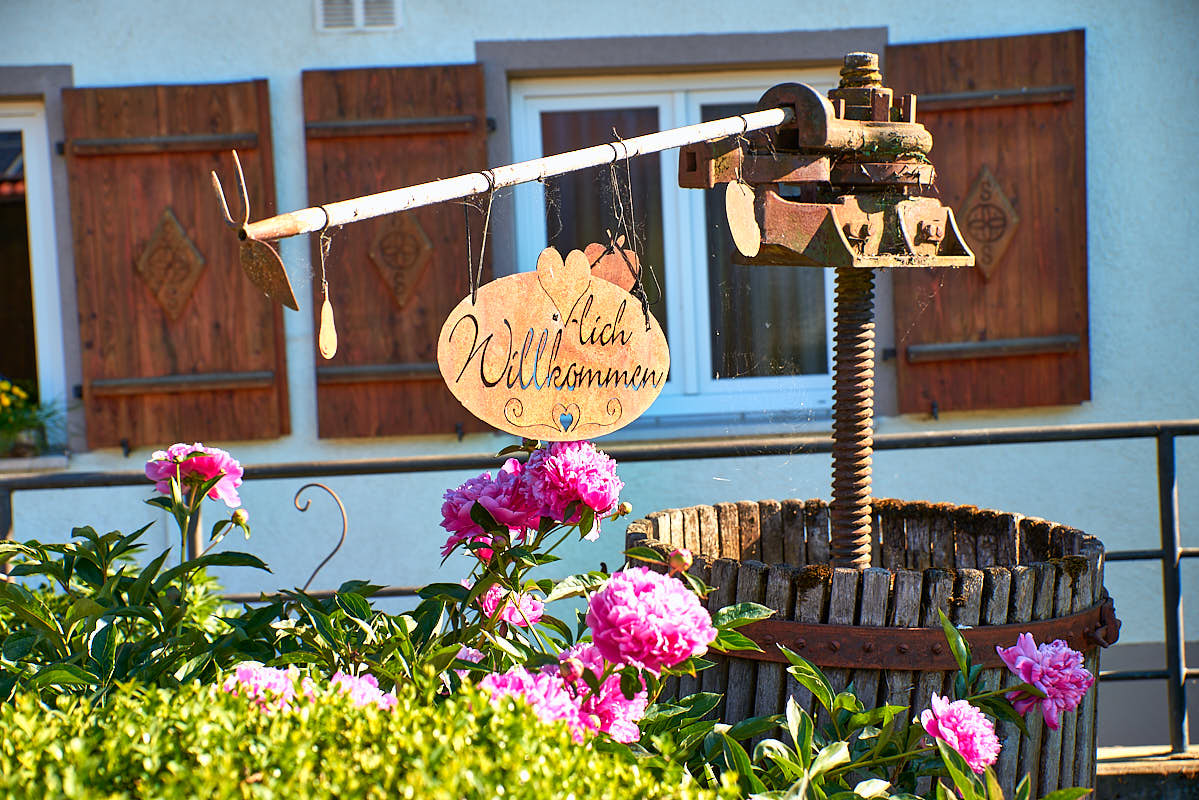 Bild mit Blumen und einen Herzlich Willkommen Schild aus Holz